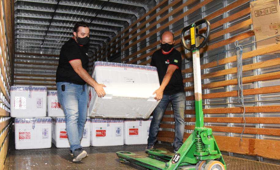 Paraná distribui mais 129,2 mil doses para vacinação de idosos com mais de 75 anos