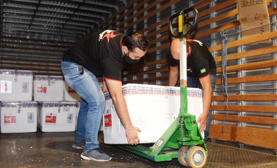 Paraná distribui mais 129,2 mil doses para vacinação de idosos com mais de 75 anos