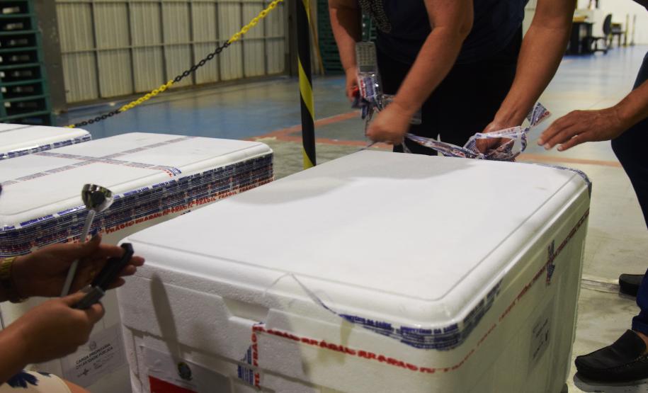 Paraná distribui mais 129,2 mil doses para vacinação de idosos com mais de 75 anos