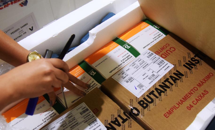 Paraná distribui mais 129,2 mil doses para vacinação de idosos com mais de 75 anos