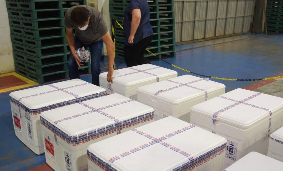 Paraná distribui mais 129,2 mil doses para vacinação de idosos com mais de 75 anos