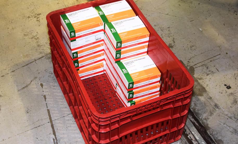 Paraná distribui mais 129,2 mil doses para vacinação de idosos com mais de 75 anos