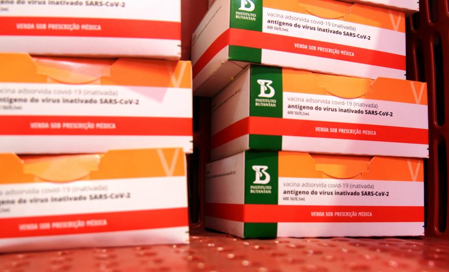 Paraná distribui mais 129,2 mil doses para vacinação de idosos com mais de 75 anos