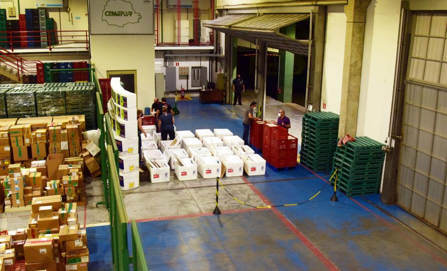 Paraná distribui mais 129,2 mil doses para vacinação de idosos com mais de 75 anos