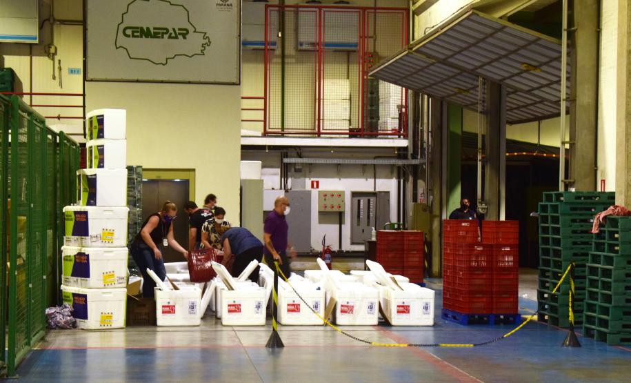 Paraná distribui mais 129,2 mil doses para vacinação de idosos com mais de 75 anos