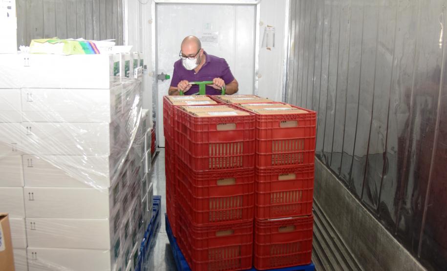 Paraná distribui mais 129,2 mil doses para vacinação de idosos com mais de 75 anos