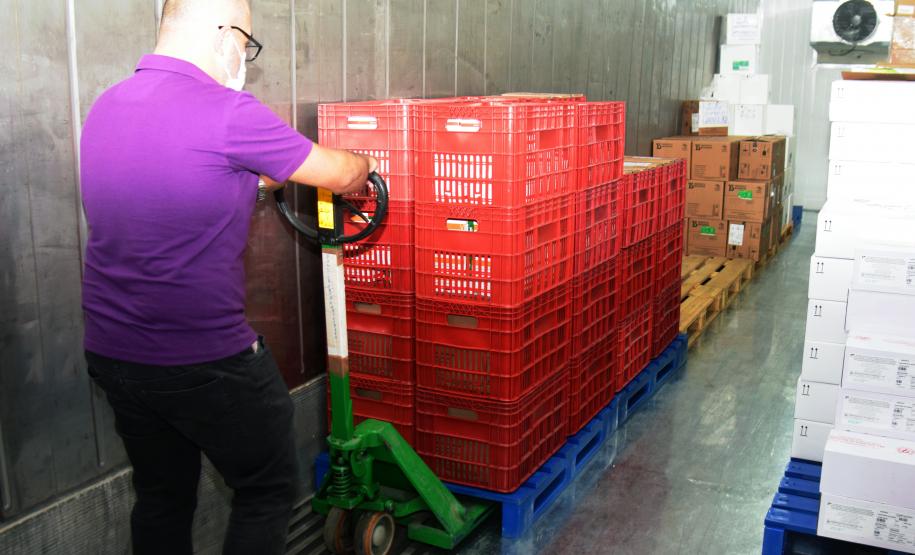 Paraná distribui mais 129,2 mil doses para vacinação de idosos com mais de 75 anos