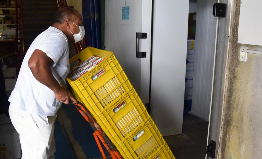 Com nova remessa, Paraná vai intensificar vacinação de domingo a domingo