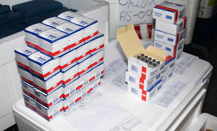 Estado distribui mais 205 mil vacinas contra a Covid-19; veja divisão por regional