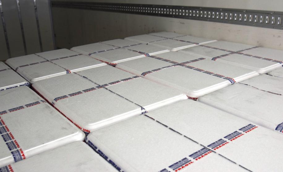 Paraná avança na vacinação de pessoas acima de 60 anos e profissionais da segurança