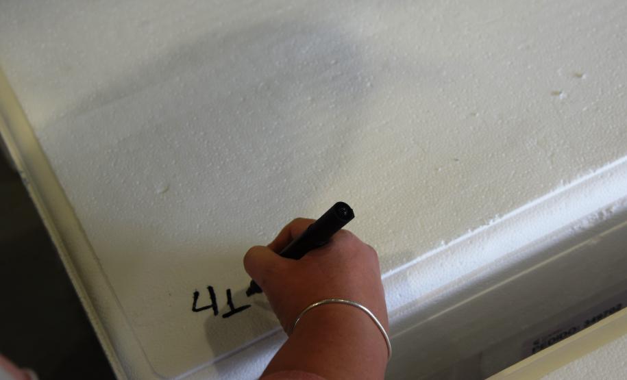 Paraná avança na vacinação de pessoas acima de 60 anos e profissionais da segurança