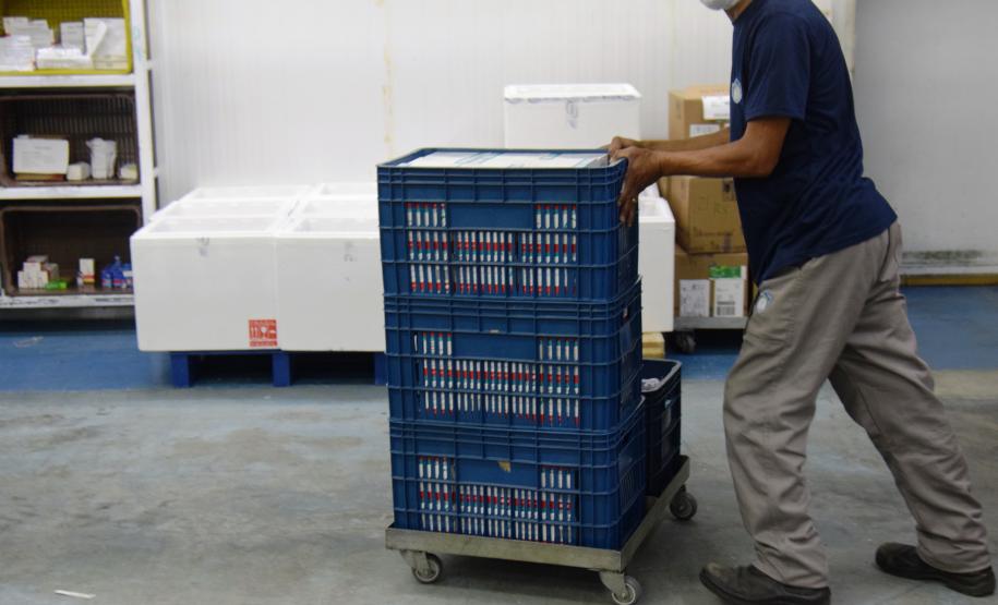 Paraná avança na vacinação de pessoas acima de 60 anos e profissionais da segurança