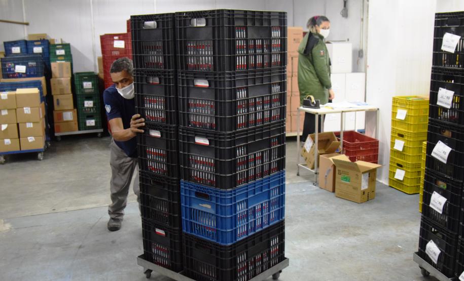 Paraná avança na vacinação de pessoas acima de 60 anos e profissionais da segurança