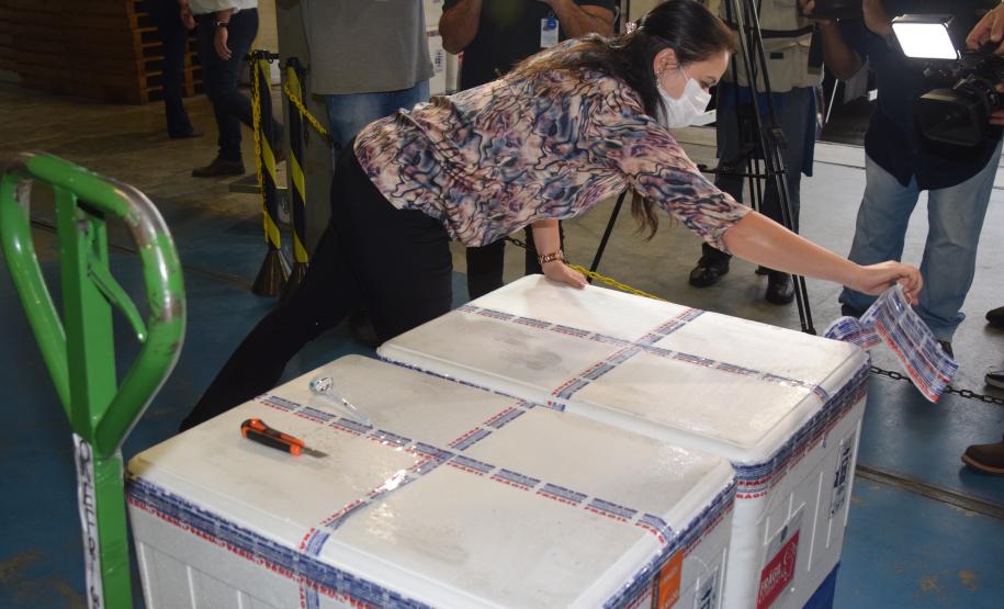 Mais 242 mil vacinas contra a Covid-19 chegam ao Paraná