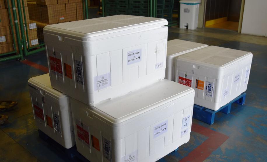 Paraná recebe novas doses da Coronavac e inicia logística para distribuir 367 mil vacinas