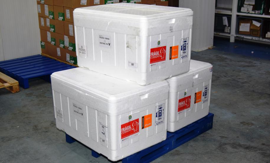 Paraná recebe novas doses da Coronavac e inicia logística para distribuir 367 mil vacinas