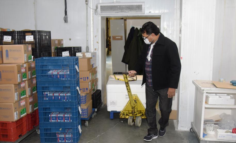 Paraná recebe novas doses da Coronavac e inicia logística para distribuir 367 mil vacinas