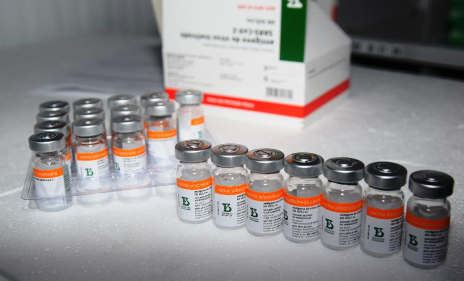 Paraná recebe novas doses da Coronavac e inicia logística para distribuir 367 mil vacinas