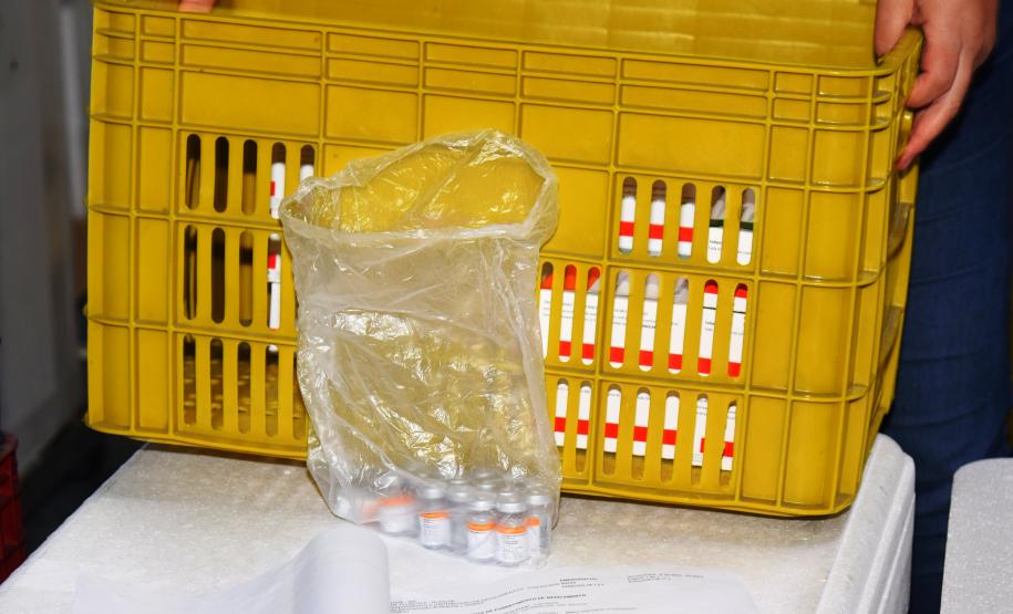 Paraná recebe novas doses da Coronavac e inicia logística para distribuir 367 mil vacinas