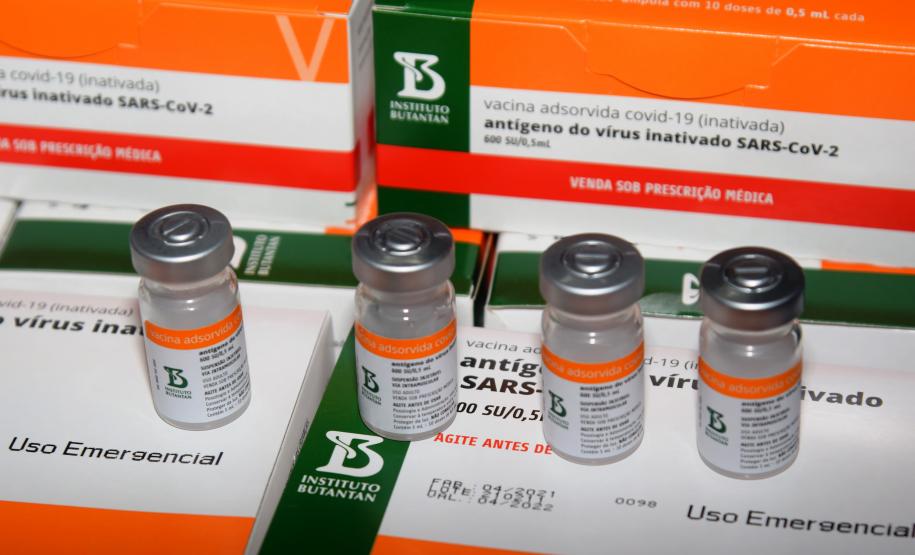 Paraná recebe novas doses da Coronavac e inicia logística para distribuir 367 mil vacinas