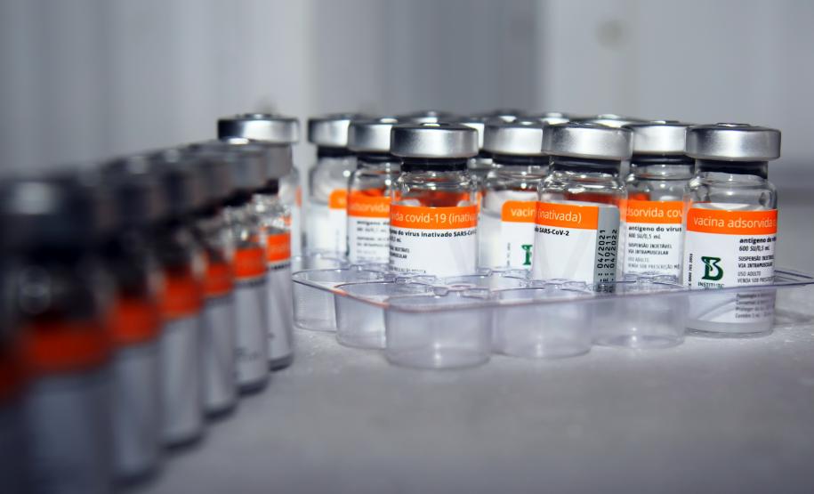 Paraná recebe novas doses da Coronavac e inicia logística para distribuir 367 mil vacinas