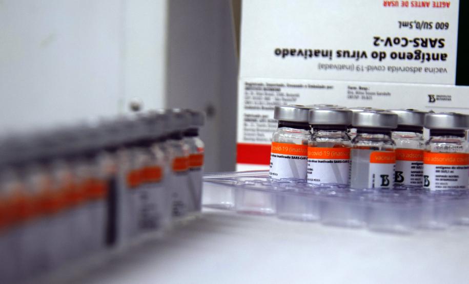 Paraná recebe novas doses da Coronavac e inicia logística para distribuir 367 mil vacinas