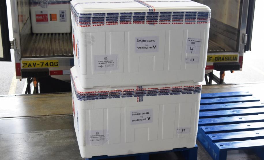 Paraná recebe novas doses da Coronavac e inicia logística para distribuir 367 mil vacinas