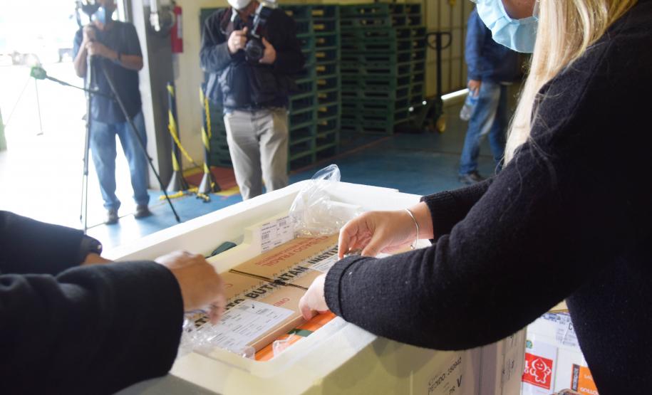 Paraná recebe novas doses da Coronavac e inicia logística para distribuir 367 mil vacinas