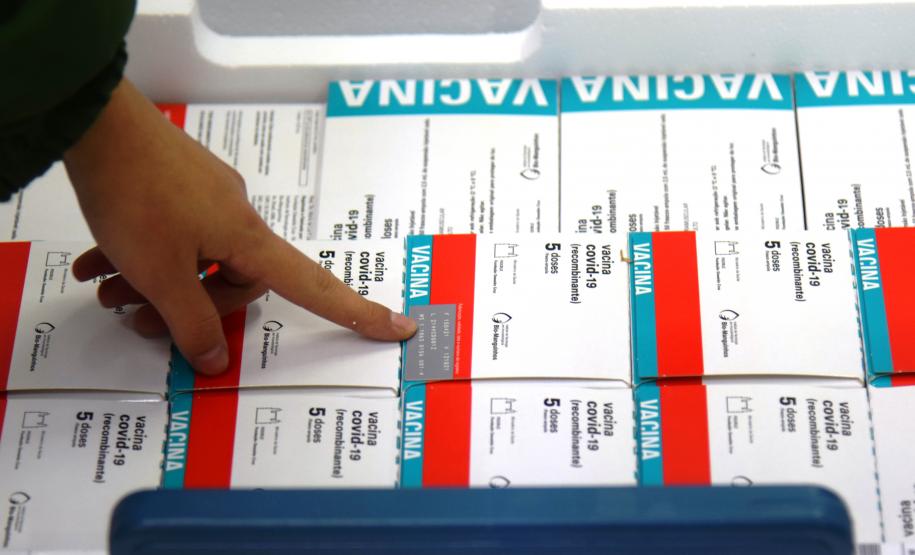 Paraná recebe novo lote com 244,8 mil vacinas contra a Covid-19