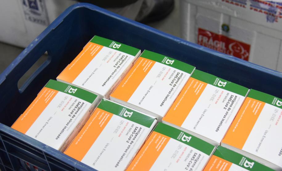 Paraná recebe novo lote com 244,8 mil vacinas contra a Covid-19