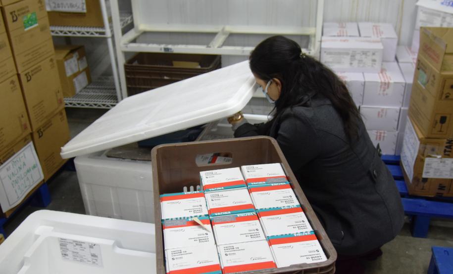 Paraná recebe novo lote com 244,8 mil vacinas contra a Covid-19
