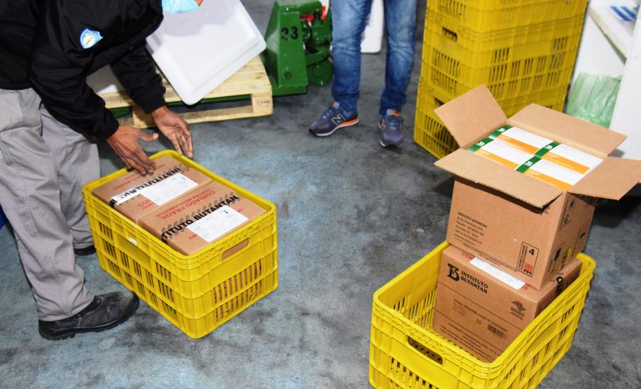 A 17ª pauta de distribuição de vacinas contra a Covid-19 do Ministério da Saúde foi ajustada com a inclusão de mais doses do imunizante CoronaVac da parceria entre Sinovac e Instituto Butantan. O Paraná recebeu mais 62 mil doses da vacina nesta sexta-feira (14).