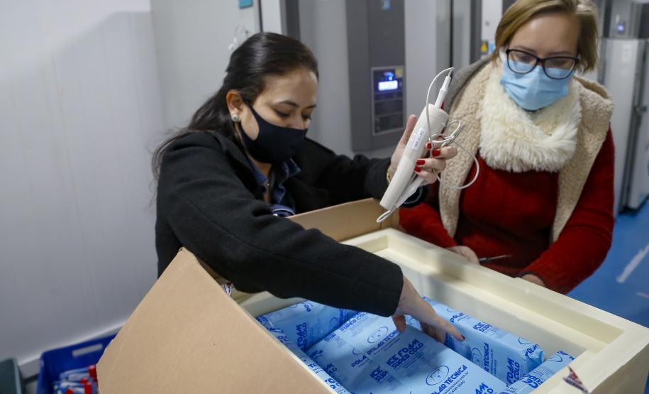 vacinas contra Covid-19 produzidas pela parceria entre Pfizer e BioNTech. O terceiro lote dos imunizantes, que chegou à Capital nesta terça-feira (18), com mais 39.780 doses