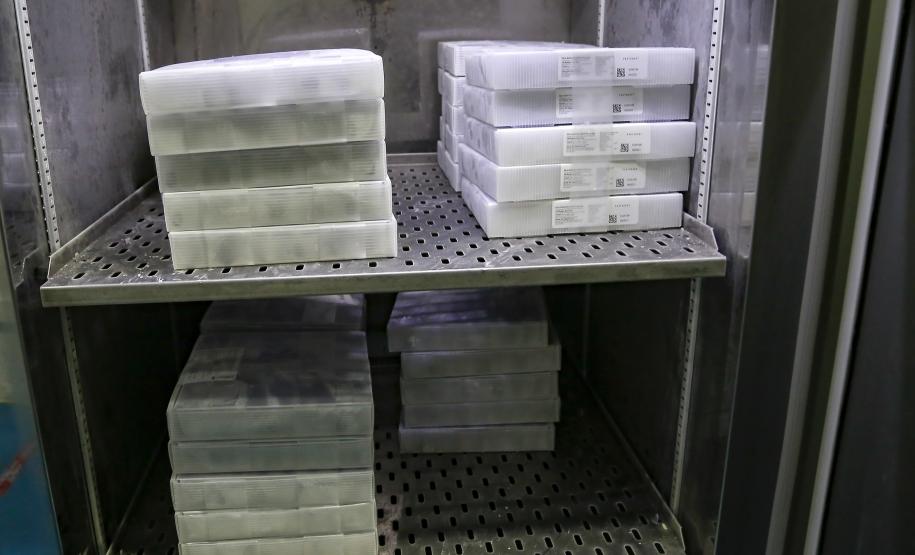 vacinas contra Covid-19 produzidas pela parceria entre Pfizer e BioNTech. O terceiro lote dos imunizantes, que chegou à Capital nesta terça-feira (18), com mais 39.780 doses
