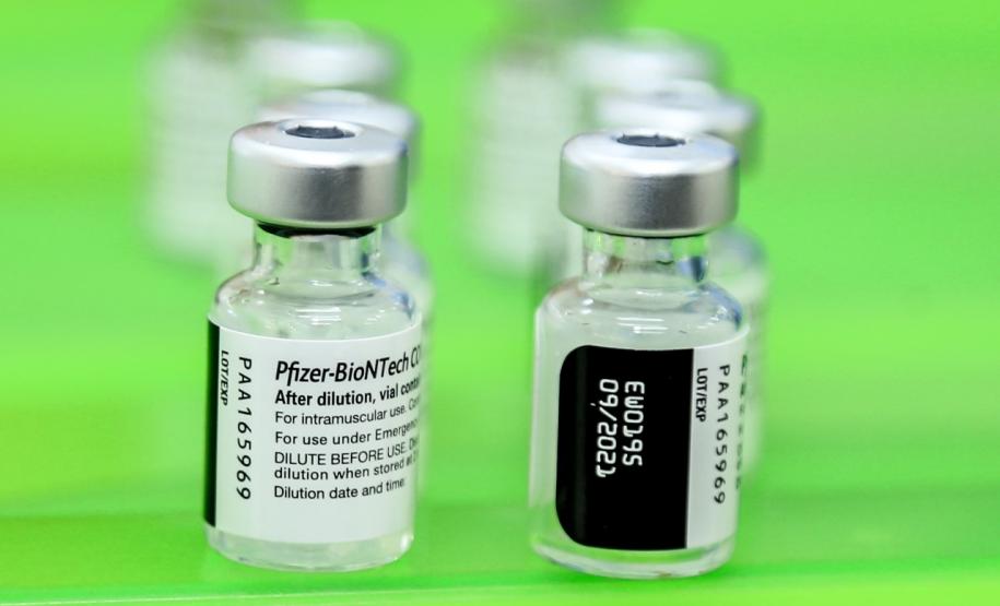 Nova distribuição de vacinas da Pfizer inclui nove municípios do Paraná