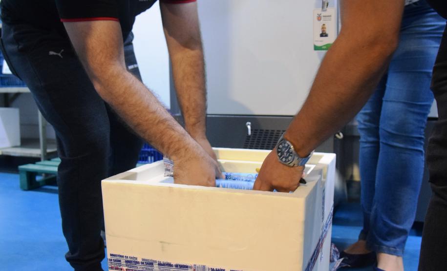 Mais uma leva de vacina Cominarty, produzida pela Pfizer/BioNTech, chegou ao Paraná nesta quinta-feira (3). O lote de 37.440 doses foi recebido às 13h20 no Aeroporto Internacional Afonso Pena, em São José dos Pinhais, na Região Metropolitana de Curitiba, e seguiu para conferência no Centro de Medicamentos do Paraná (Cemepar), onde chegou às 13h50. - Curitiba, 03/06/2021