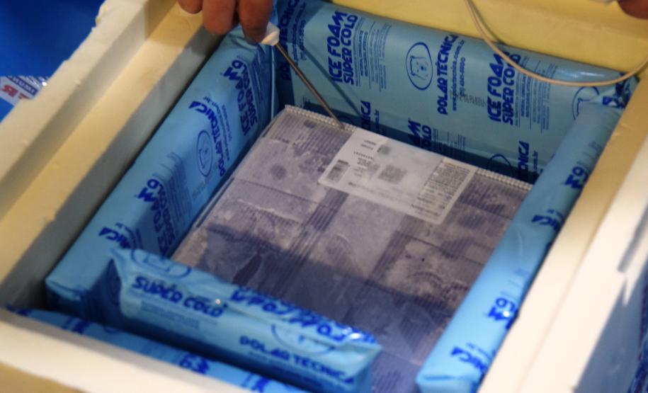 Mais uma leva de vacina Cominarty, produzida pela Pfizer/BioNTech, chegou ao Paraná nesta quinta-feira (3). O lote de 37.440 doses foi recebido às 13h20 no Aeroporto Internacional Afonso Pena, em São José dos Pinhais, na Região Metropolitana de Curitiba, e seguiu para conferência no Centro de Medicamentos do Paraná (Cemepar), onde chegou às 13h50. - Curitiba, 03/06/2021