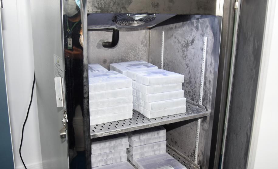 Mais uma leva de vacina Cominarty, produzida pela Pfizer/BioNTech, chegou ao Paraná nesta quinta-feira (3). O lote de 37.440 doses foi recebido às 13h20 no Aeroporto Internacional Afonso Pena, em São José dos Pinhais, na Região Metropolitana de Curitiba, e seguiu para conferência no Centro de Medicamentos do Paraná (Cemepar), onde chegou às 13h50. - Curitiba, 03/06/2021