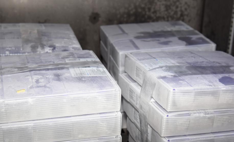 Mais uma leva de vacina Cominarty, produzida pela Pfizer/BioNTech, chegou ao Paraná nesta quinta-feira (3). O lote de 37.440 doses foi recebido às 13h20 no Aeroporto Internacional Afonso Pena, em São José dos Pinhais, na Região Metropolitana de Curitiba, e seguiu para conferência no Centro de Medicamentos do Paraná (Cemepar), onde chegou às 13h50. - Curitiba, 03/06/2021