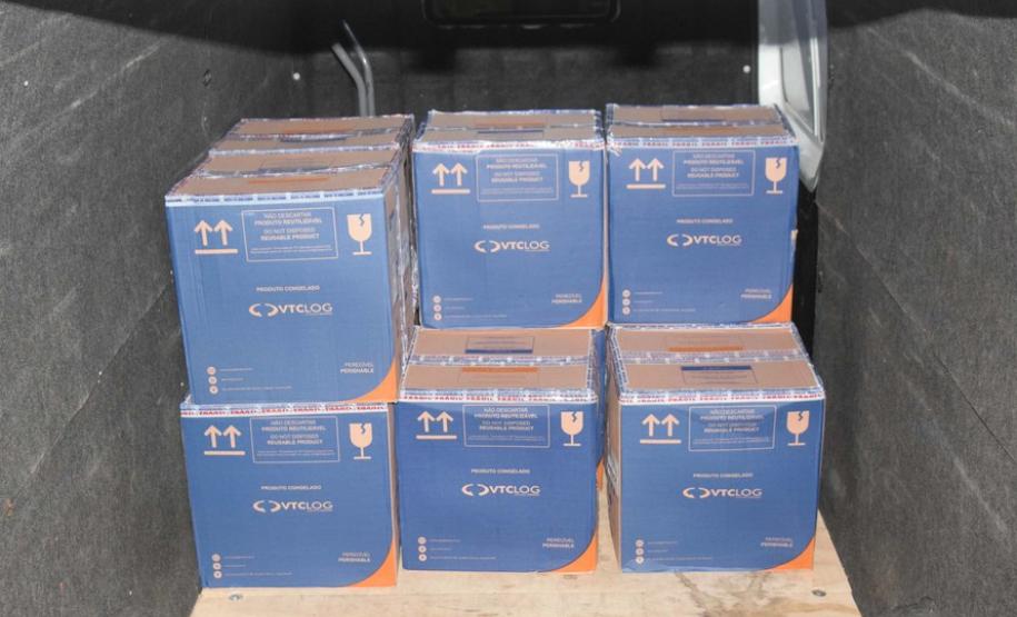 Paraná recebe novo lote com 145 mil vacinas da Pfizer contra a Covid-19