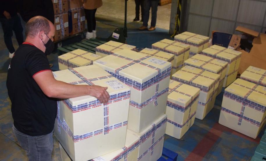 Paraná recebe novo lote com 145 mil vacinas da Pfizer contra a Covid-19