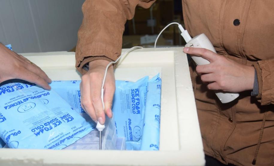 Paraná recebe novo lote com 145 mil vacinas da Pfizer contra a Covid-19