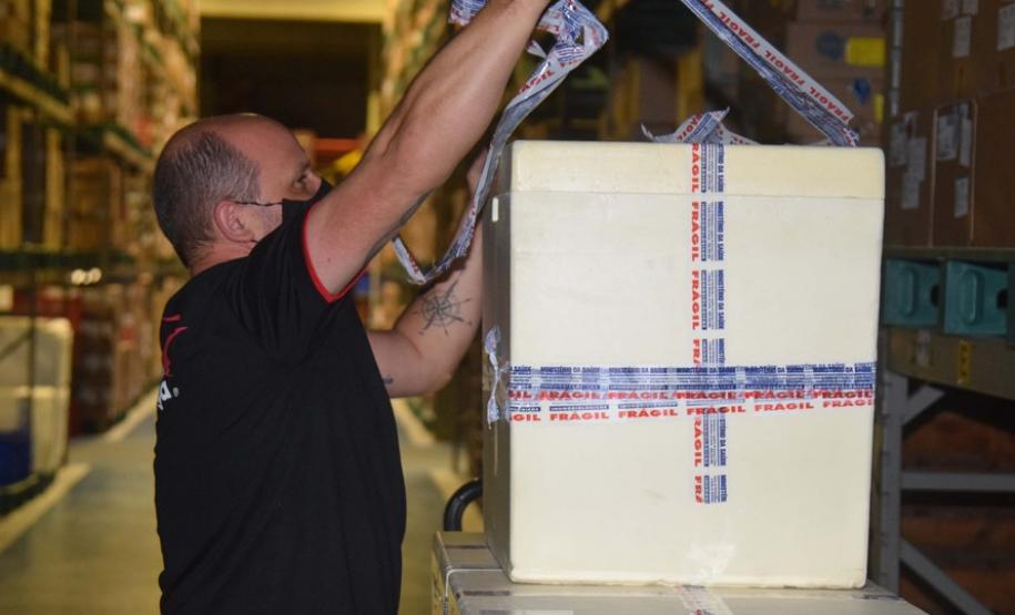 Paraná recebe novo lote com 145 mil vacinas da Pfizer contra a Covid-19