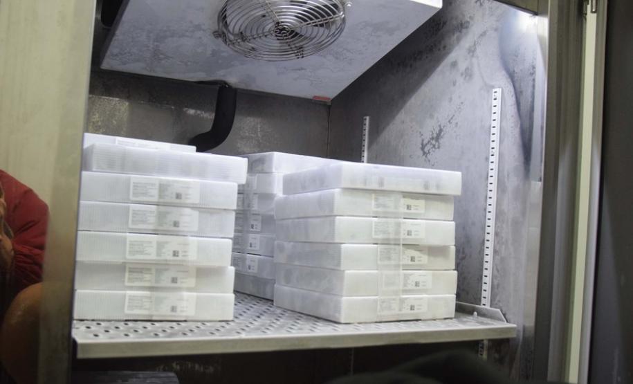 Paraná recebe novo lote com 145 mil vacinas da Pfizer contra a Covid-19