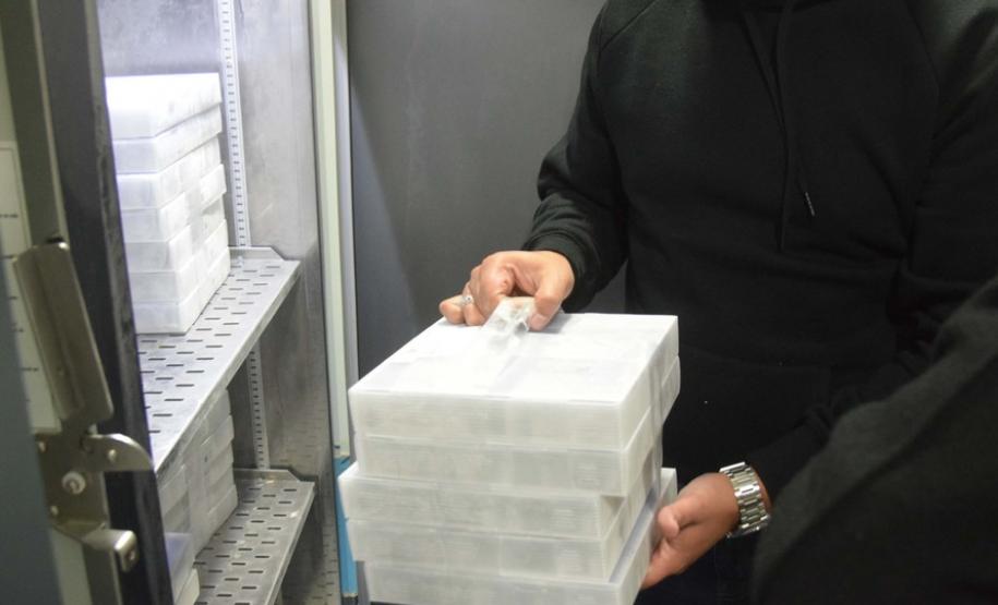 Paraná recebe novo lote com 145 mil vacinas da Pfizer contra a Covid-19