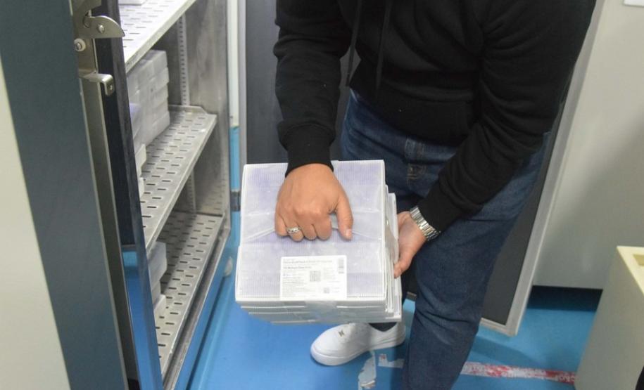 Paraná recebe novo lote com 145 mil vacinas da Pfizer contra a Covid-19