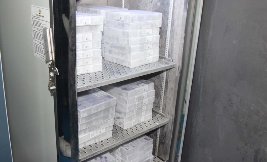 Paraná recebe novo lote com 145 mil vacinas da Pfizer contra a Covid-19