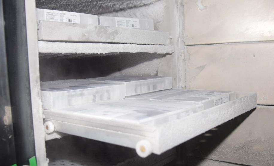 Paraná recebe novo lote com 145 mil vacinas da Pfizer contra a Covid-19