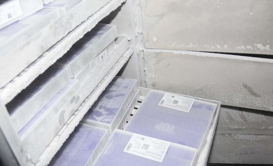 Paraná recebe novo lote com 145 mil vacinas da Pfizer contra a Covid-19