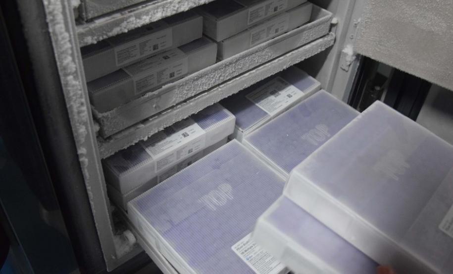 Paraná recebe novo lote com 145 mil vacinas da Pfizer contra a Covid-19